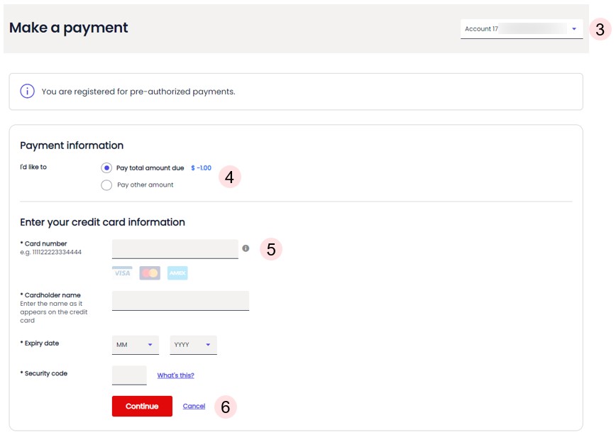 Making a Payment - Payment Information